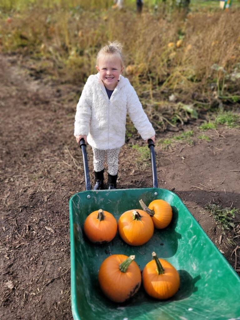 Canon_Reception's tweet photo. Reception have been busy this weekend with their #homelearning. They have enjoyed being autumn explorers! 🔍🍁🍂🍃🐿🦔 #EYFS #autumn #amazingautumn @Cornerstonesedu #ExploringAutumn @CanonSharples @LT_Trust https://t.co/4NxFWuU4L5