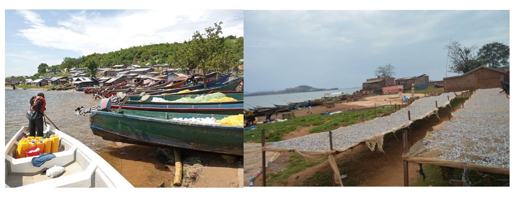 african_lakes's tweet photo. Small-scale fish workers can improve their livelihoods if they have tenure over their fish production systems, have inclusive governance, promote gender balance, have knowledge and skills, appropriate policies, and be supported to improve their socio-economic conditions. https://t.co/eiFVjOG4PR
