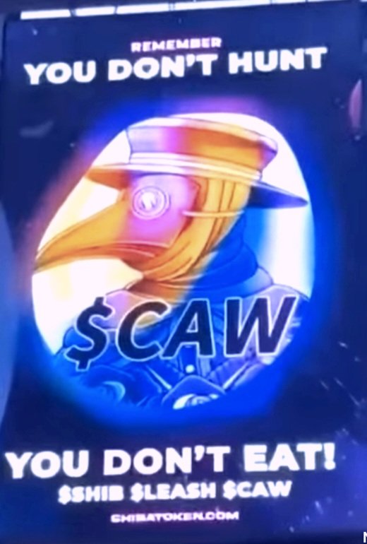 juzz82's tweet image. 