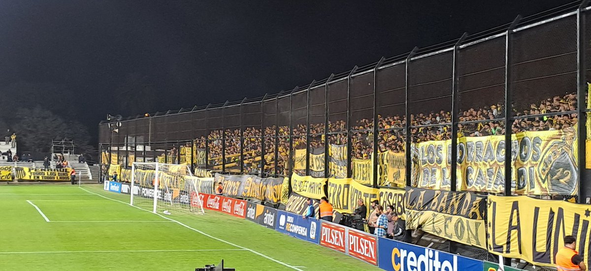 Wilson Méndez tweet media