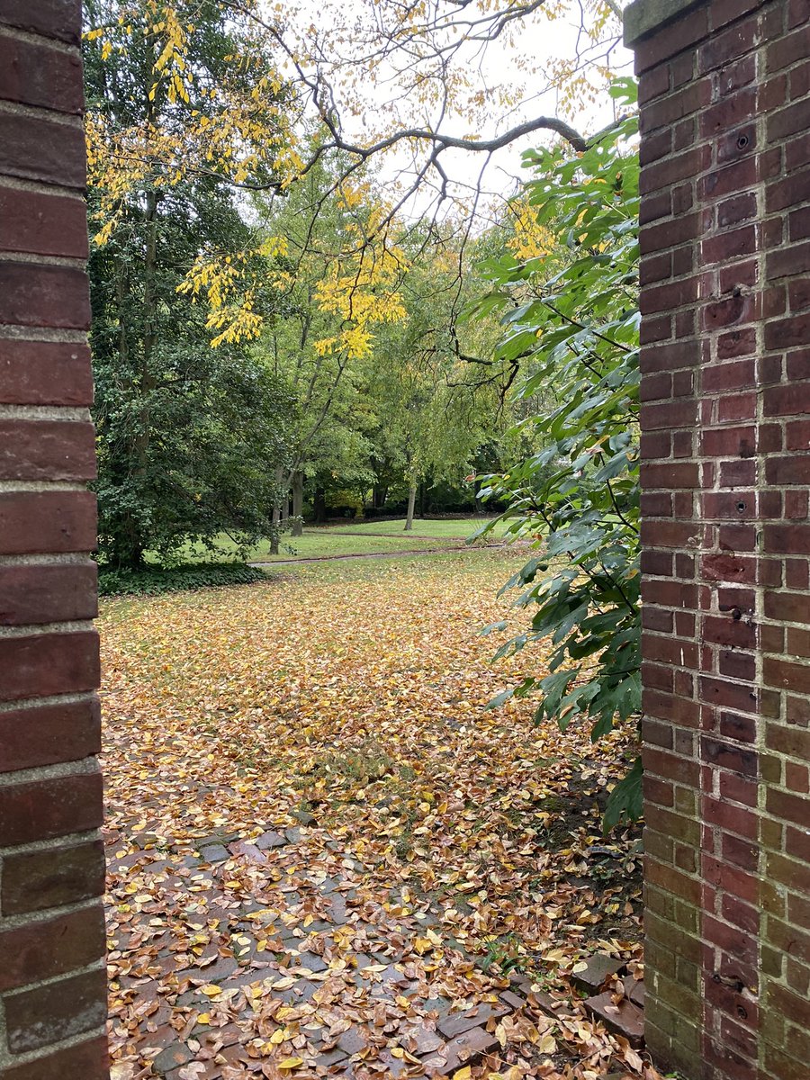 #deepcleansingbreath