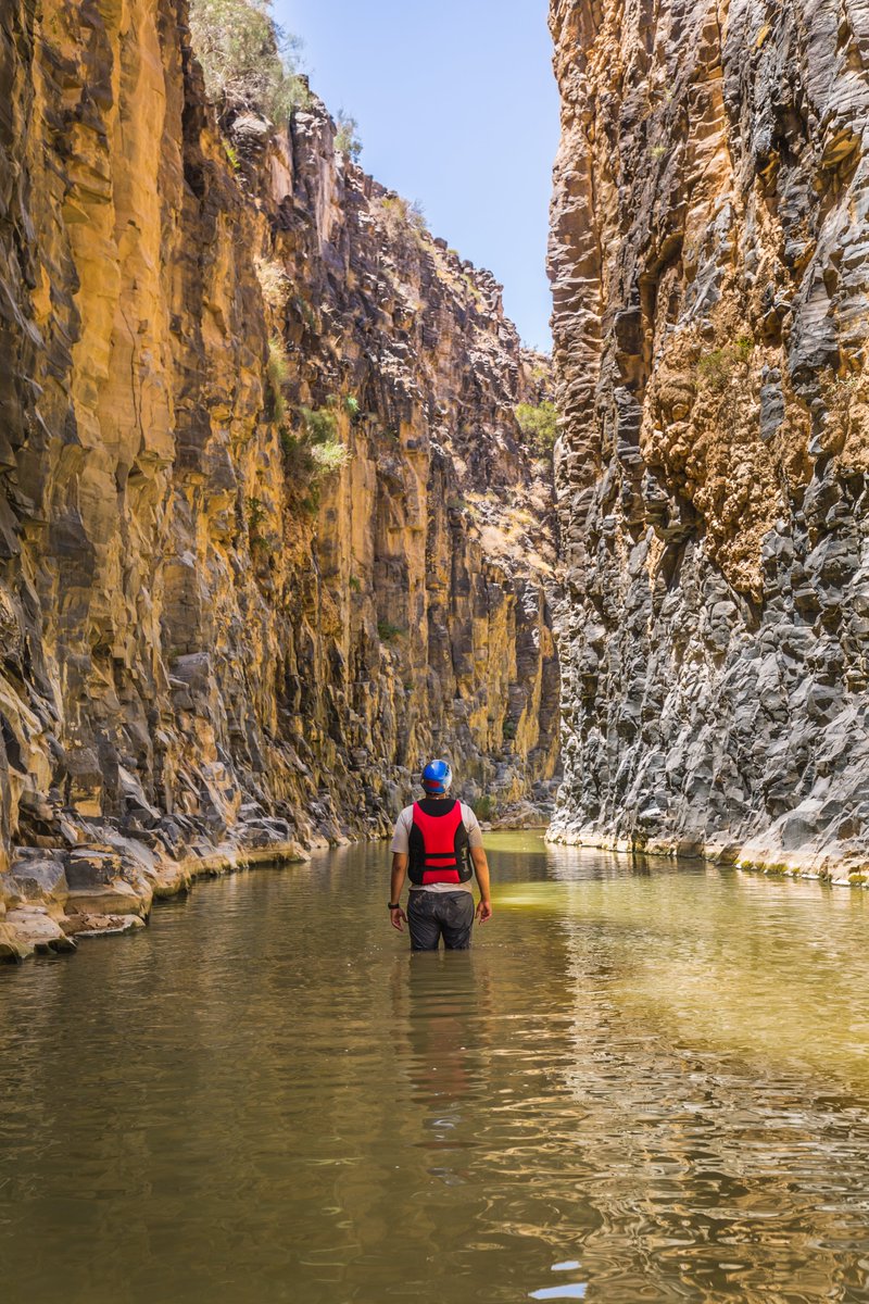 VisitJordanAR's tweet photo. كل خطوة في درب #الأردن تحكيلك قصة!
#درب_الأردن مسار سياحي للمشي الطويل يمتد650كم من أم قيس للعقبة. يستغرق41 يوما سيرا ،يمر ب75قرية ويتعرف المشارك على التنوع الطبيعي والثراء الثقافي والتاريخ
للحجزhttps://t.co/7AS176NwcWأو التواصل مع 
@TheJordanTrail
 +96264610999 
📸@AliBStudios https://t.co/RXvrWQqWGa