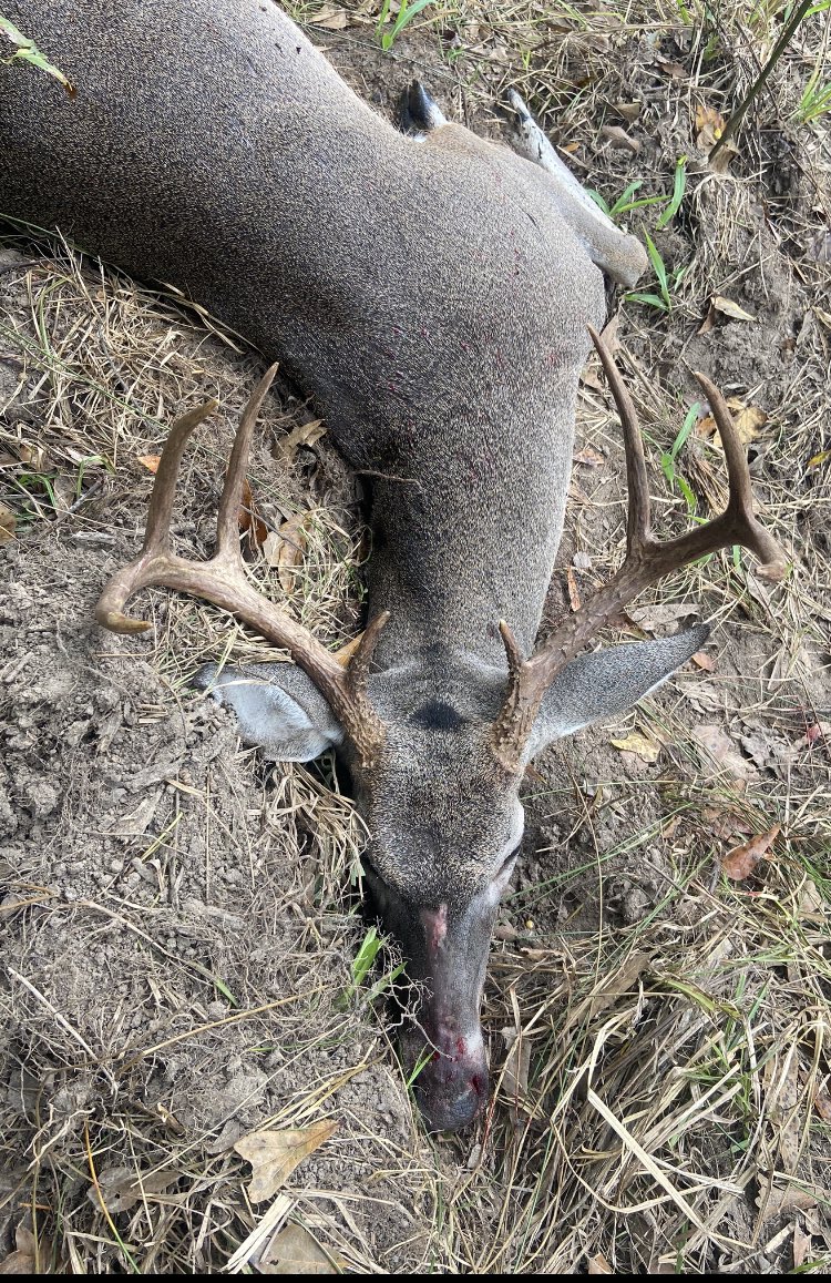 fitedj's tweet photo. Just in time for opening weekend around the corner!!!! 🦌🥶🧥#buckfever #hunting4meat #swinetime https://t.co/eP4Wu8JM9J