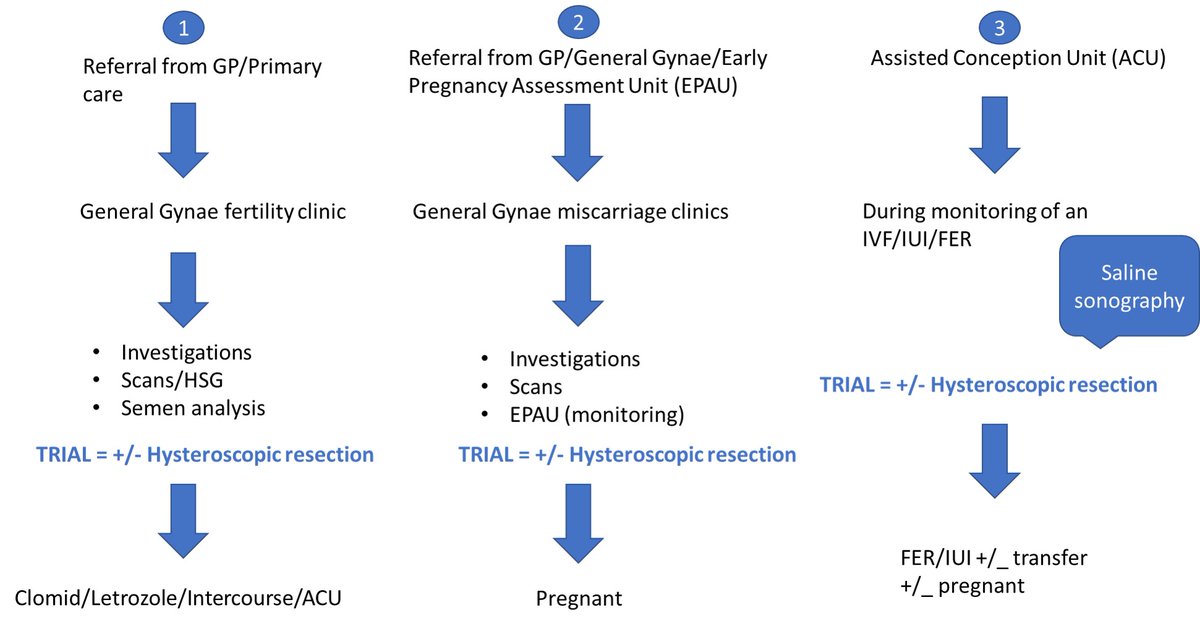 There are 3 main pathways through which you may identify women for the HELP Fertility? Study. 

At the Investigator Meeting, <a href="/clare_pye/">Clare Pye</a> highlighted this third pathway - if your clinic does fertility treatments, growths may be discovered when people come in for their monitoring.