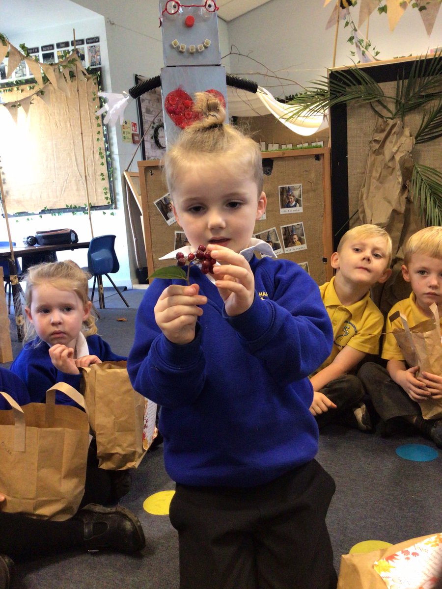 Canon_Reception's tweet photo. The children have really enjoyed our show and tell session, showing off all of the autumn treasures that they have found during their #homelearning. We canβt wait to investigate further! πππ #EYFS #ExploringAutumn @Cornerstonesedu @CanonSharples @LT_Trust #cspsscience https://t.co/LhHMLNL6IU