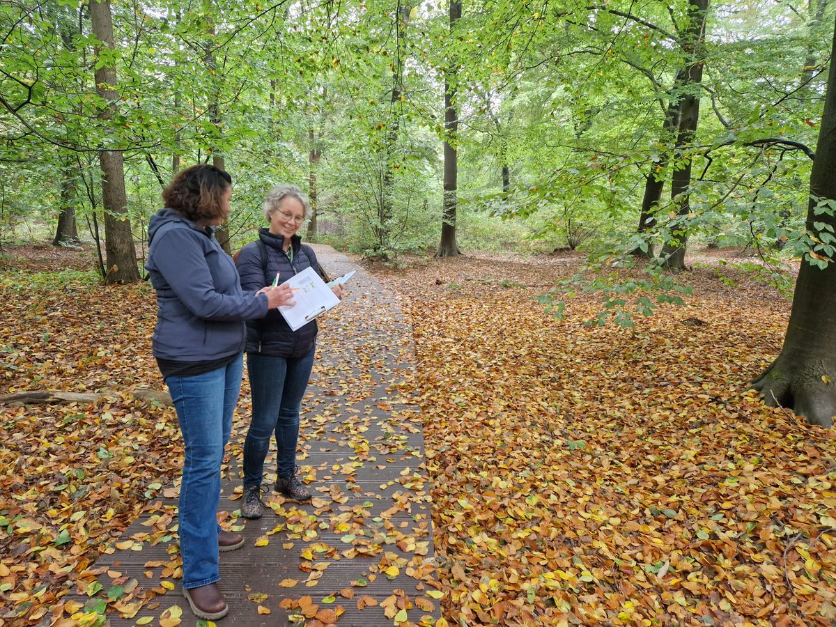 ongehinderd's tweet photo. Terugblik op een geslaagde teamdag: kijken naar de toegankelijkheid van wandelpaden vanuit diverse beperkingen. Wat is voor jou belangrijk tijdens het wandelen? https://t.co/unL41KHqEe