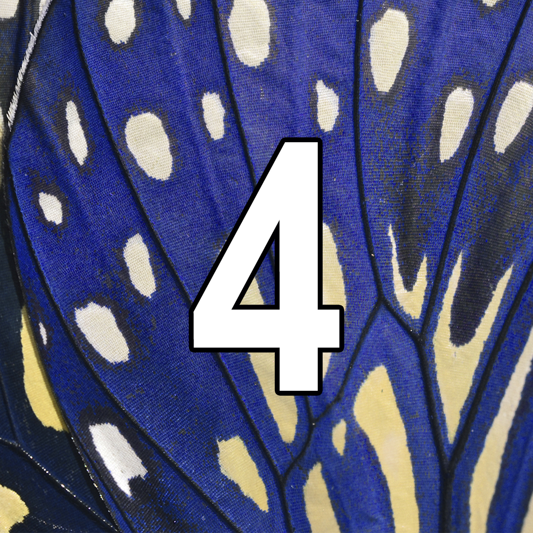 TheSpiritOfOne's tweet image. FOUR days &amp;amp; all will be revealed. Watch this space for something blue and something new...

#TheSpiritOfOne #New #Blue