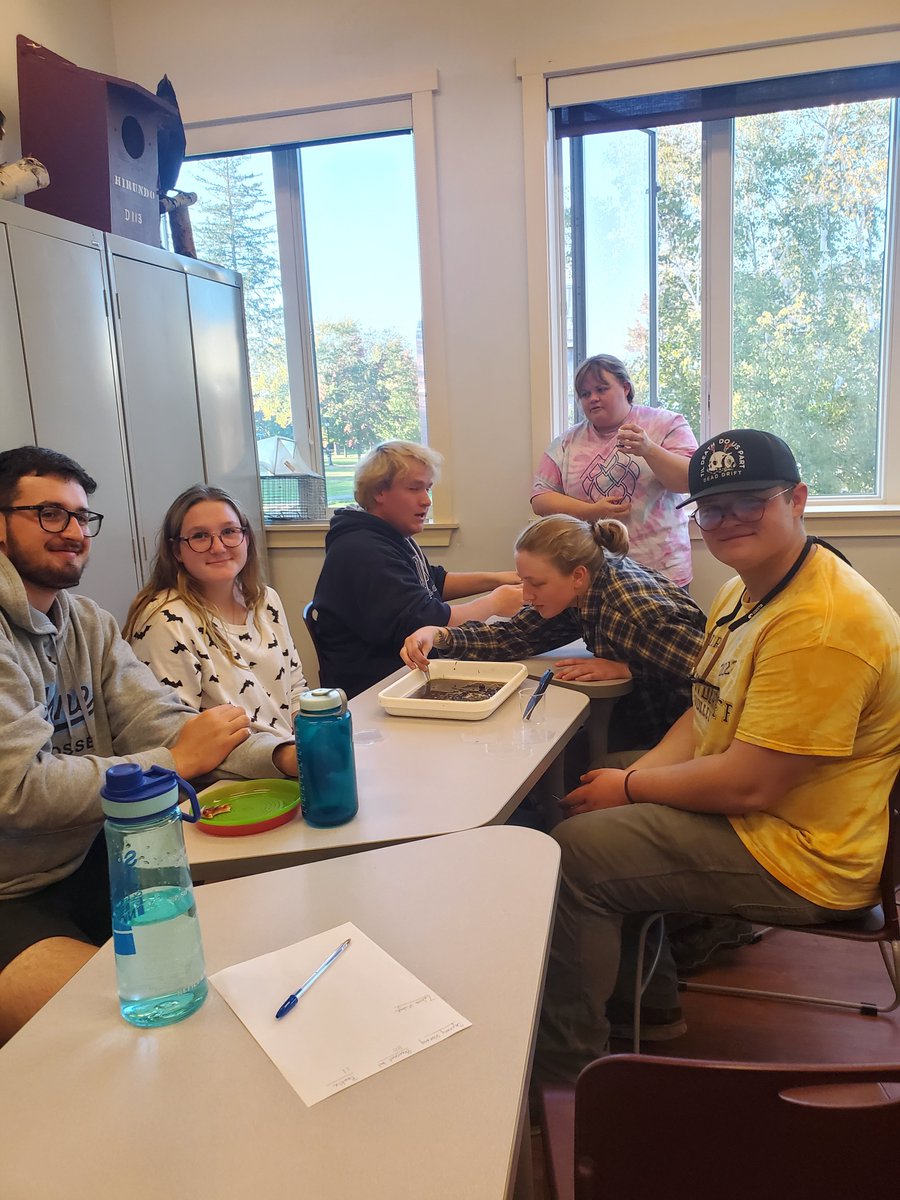 UMaineAFS's tweet photo. Check out some of our recent activities! Thanks to everyone that participated in our entomology and fly tying meetings. https://t.co/jvMbbqdqg2