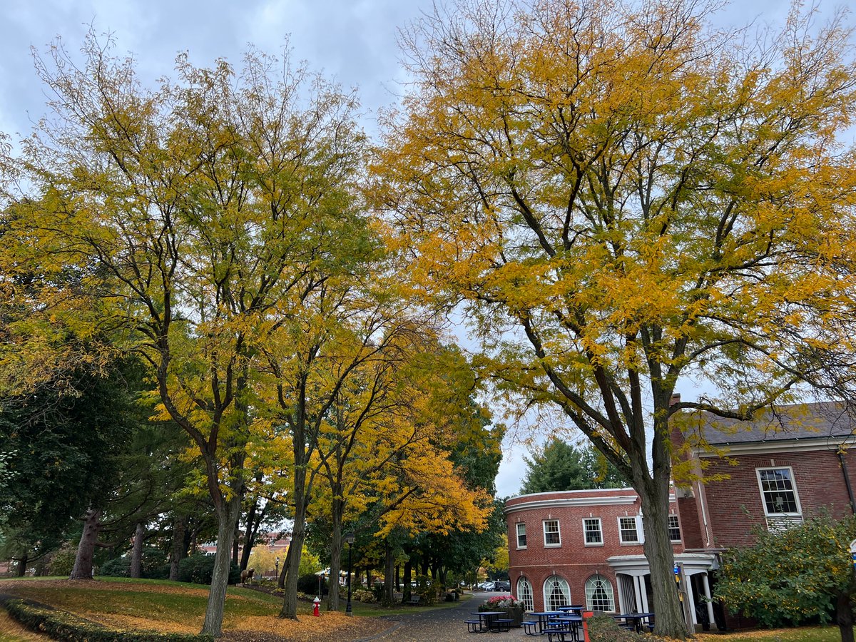 These fall colors on campus 😍🍂🍁