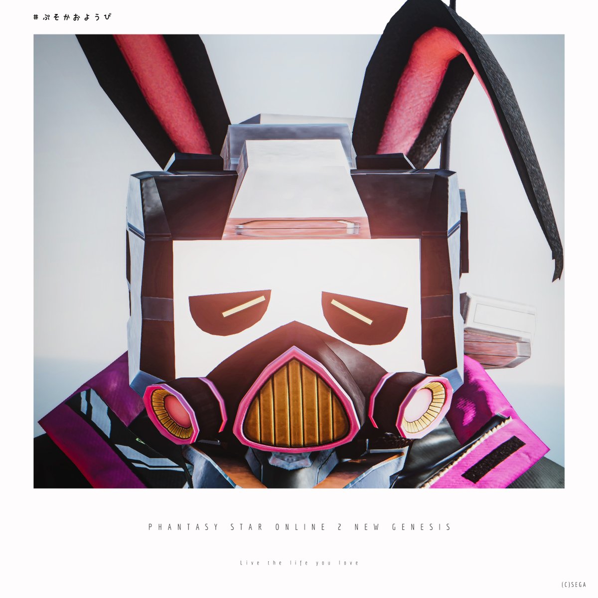 KajikaNgs's tweet image. んふー🐰
#ぷそかおようび