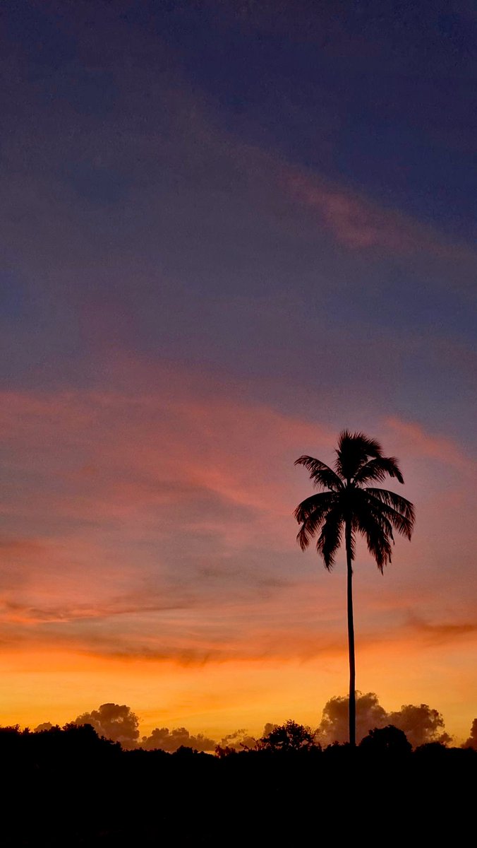 rashlens's tweet photo. Sky is on fire 🌅 
17.10.22
#sunset #isdhoo #laamu #maldives https://t.co/HvSadL7chd