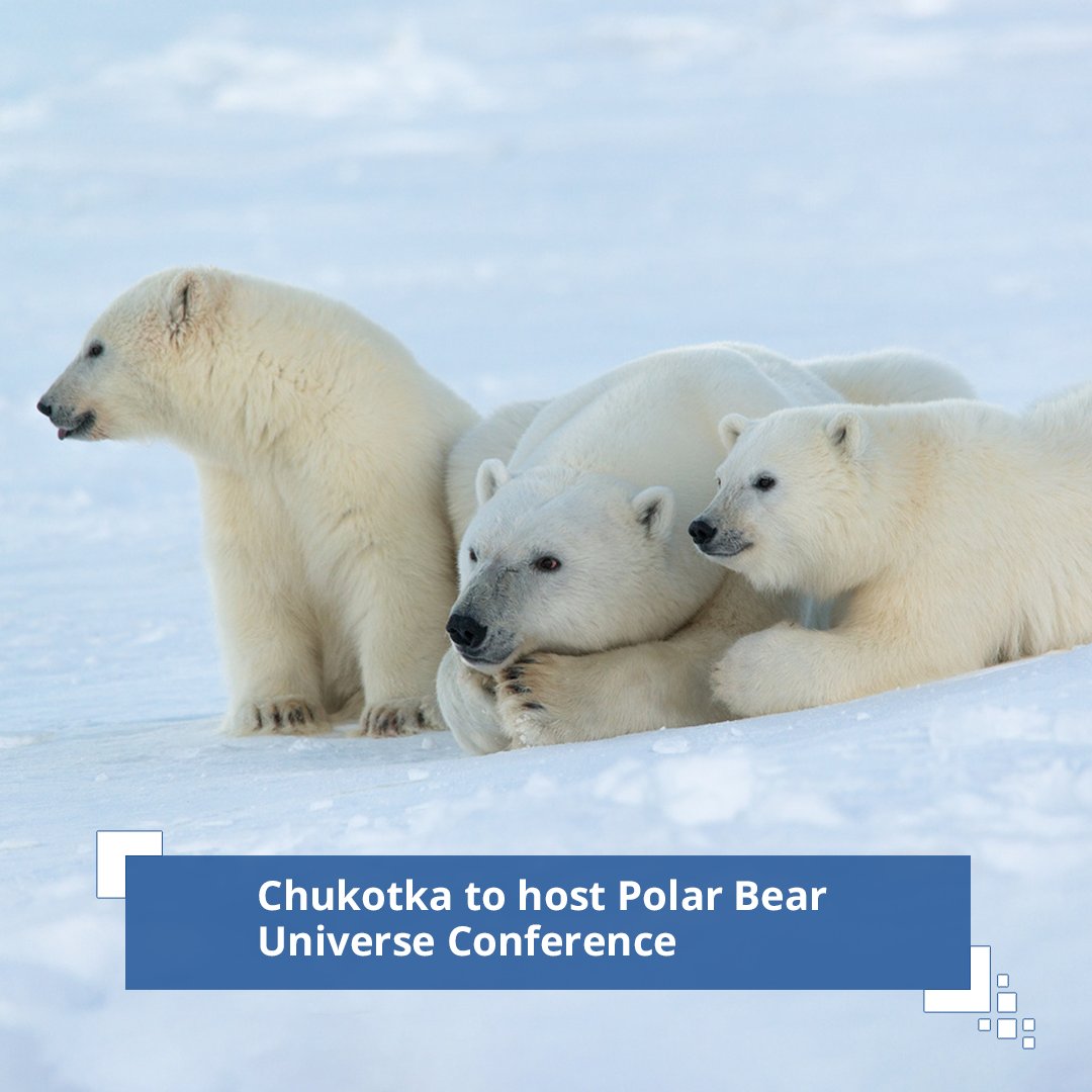 The ‘Universe of the Polar Bear’ International Research and Training Conference will be held in the Chukotka city of Anadyr on 18–21 October as part of the plan of events of Russia’s chairmanship of the Arctic Council in 2021–2023.