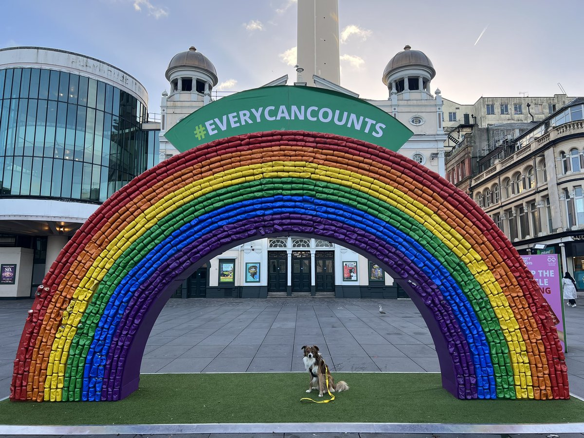 teddy_therescue's tweet photo. The only thing missing from this rainbow is the pot of gold. Oh wait, that’s me! 🍯🐶
#DogsOfTwitter #DogsOfLiverpool #Liverpool https://t.co/IDb4ut0o2S