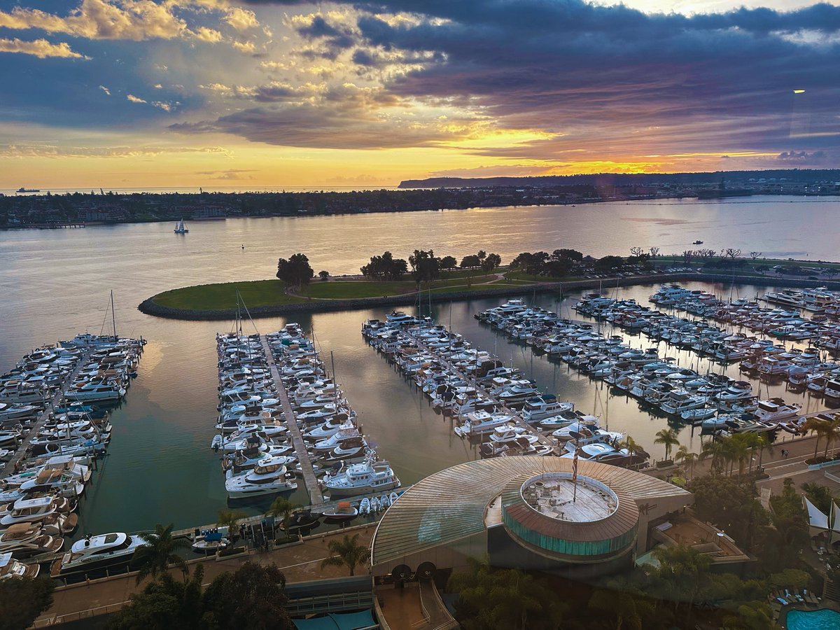 Tracey Pu, MD tweet media