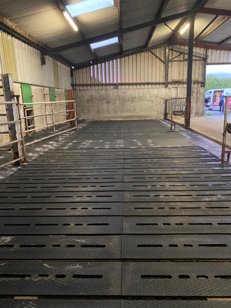 EasyfixSafety's tweet photo. Our SR Slat Mats installed in 📍 Co. Mayo 🐂

✅ Award Winning System
✅ Improves comfort, welfare &amp; performance
✅ Enhances grip of cattle 
✅ Reduces lameness
✅ Designed to fit old and new slats

💻 https://t.co/OdmuXzmJ1B
☎️ +353 9096 43344

#EASYFIXOfficial #LivestockComfort https://t.co/hV96N5UPJy