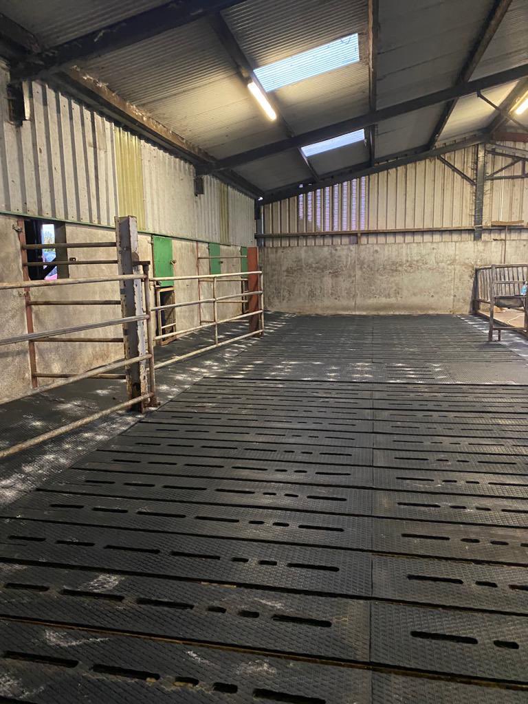 EasyfixSafety's tweet photo. Our SR Slat Mats installed in 📍 Co. Mayo 🐂

✅ Award Winning System
✅ Improves comfort, welfare &amp; performance
✅ Enhances grip of cattle 
✅ Reduces lameness
✅ Designed to fit old and new slats

💻 https://t.co/OdmuXzmJ1B
☎️ +353 9096 43344

#EASYFIXOfficial #LivestockComfort https://t.co/hV96N5UPJy