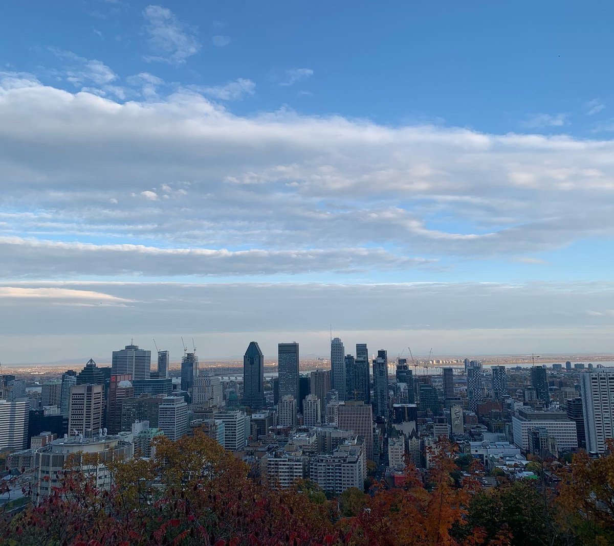 Witt Women's Basketball tweet media