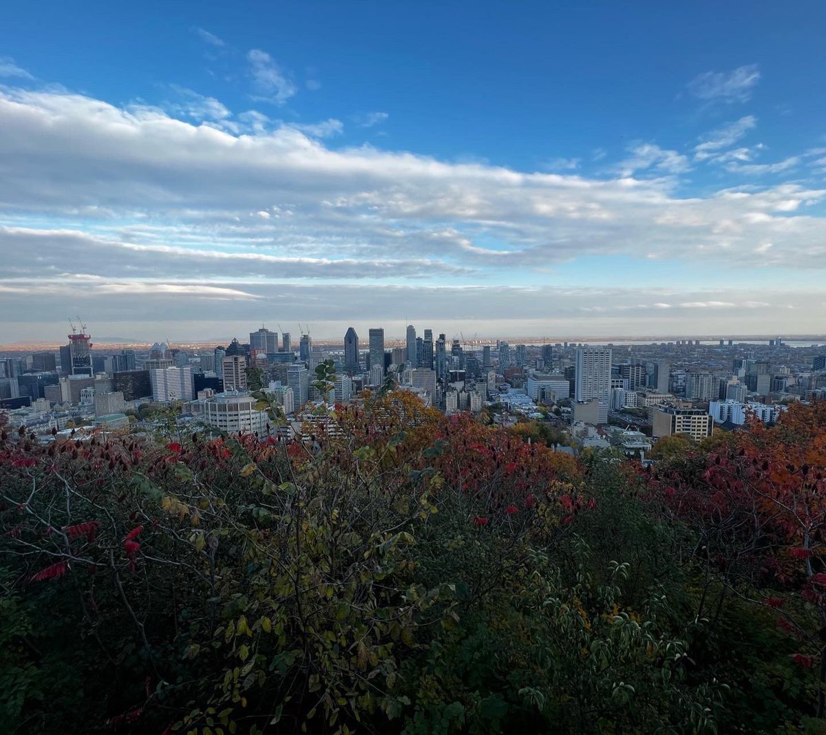 Witt Women's Basketball tweet media
