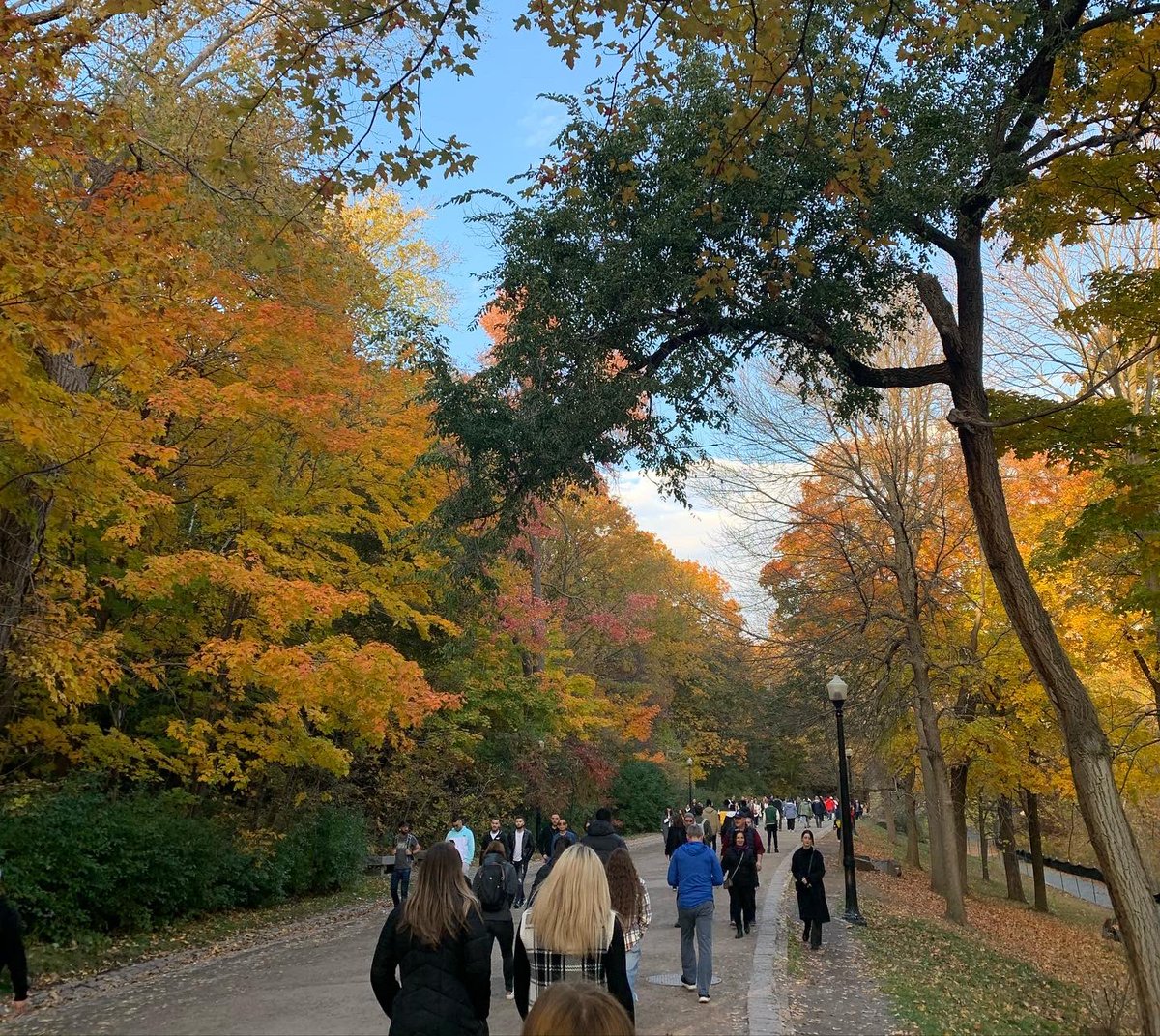Witt Women's Basketball tweet media