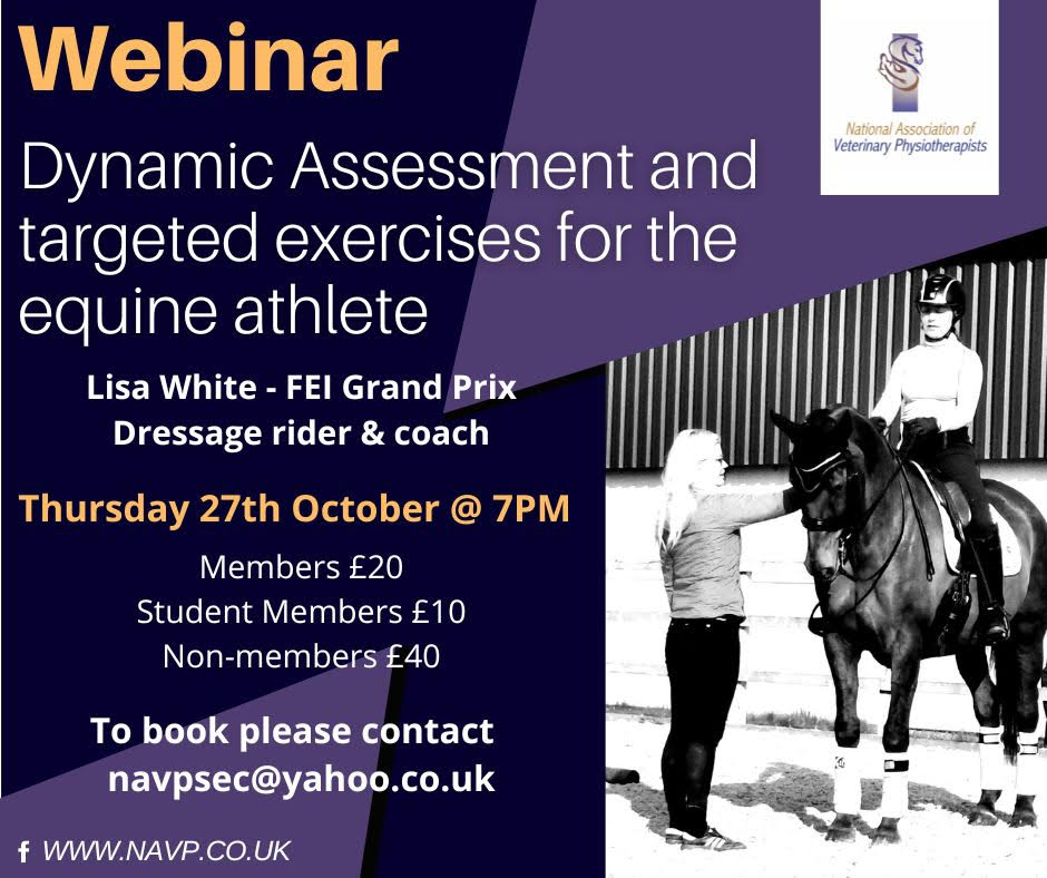 AHPR_UK's tweet photo. Remember to book your place at the Dynamic Assessment &amp; Targeted Exercises for the Equine Athlete Webinar. Thur 27th Oct 7pm. Lisa White, FEI Grand Prix Dressage rider &amp; Coach will highlight specific aspects of the movement &amp; biomechanical issues that occur in the equine athlete. https://t.co/7IEeBlTb8K