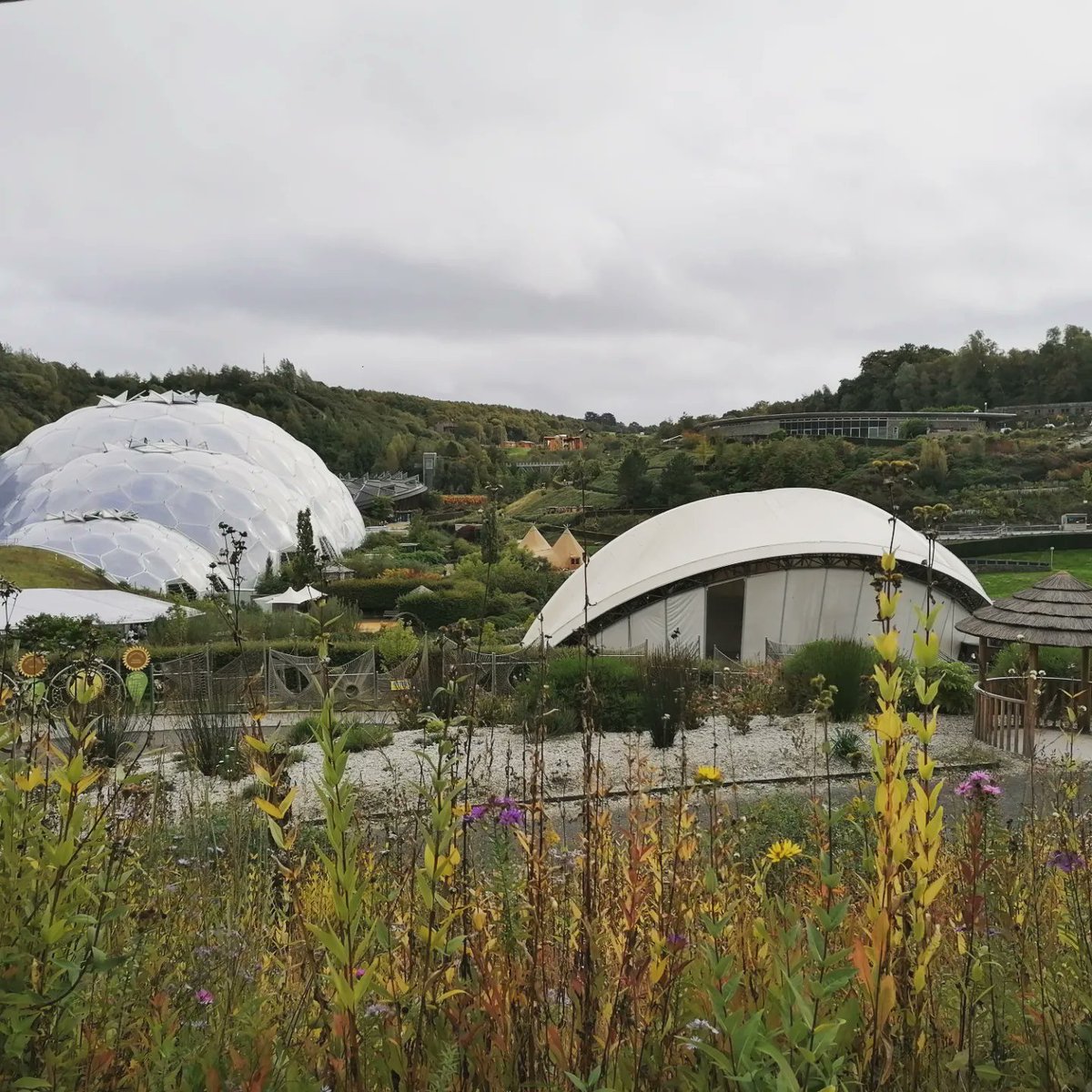 We're back in the land of Social Media!
Autumn's in full swing and there's been a lot going on...
We've got a new building for our creative leadership programmes, a new team member, and a new link in our bio where you can find out more about what we do 🙌🏼🥳
#inspiredbynature