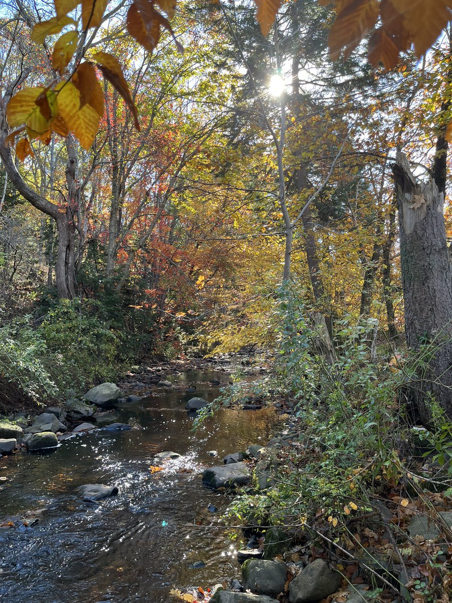 jayallen8's tweet photo. @NateTWN not sure if it’s too late but #colorfulFall https://t.co/uA9JtMOQm5