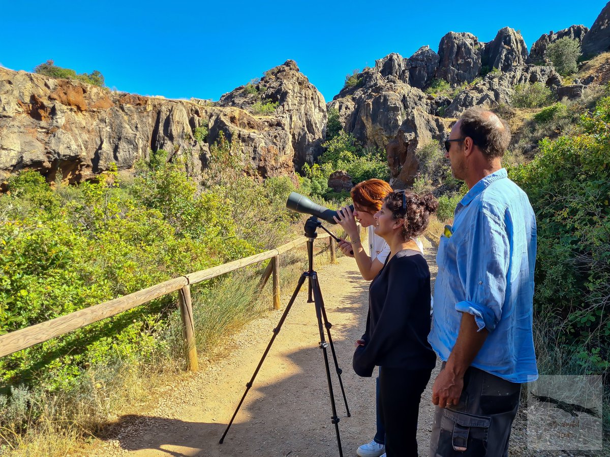 birdwildtours's tweet photo. Haris and his family have enjoyed their first visit to the Sierra Norte of Seville. Two moments marked their visit: seeing for the first time #SpanishImperialEagle and enjoying the geology of #CerrodelHierro as well as the birds that live in the natural monument https://t.co/QCnCoDgPaG