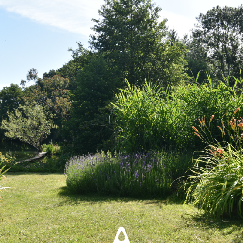 Aquatiris tweet media