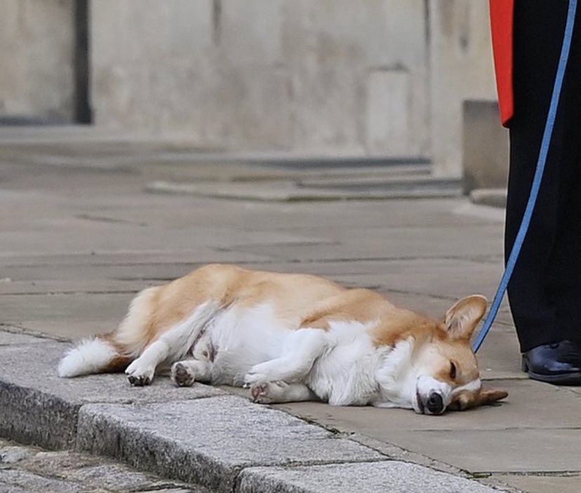 n00dletwt's tweet photo. @Daily_Express mood https://t.co/8hTjOhsrSx