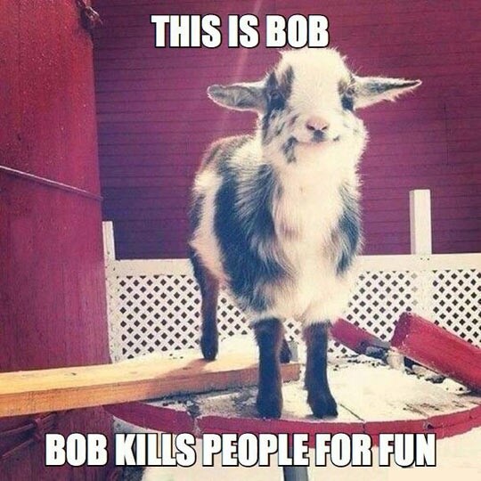 OG_FRC's tweet photo. Good Morning!
Meet Bob... https://t.co/lHBTm529IK