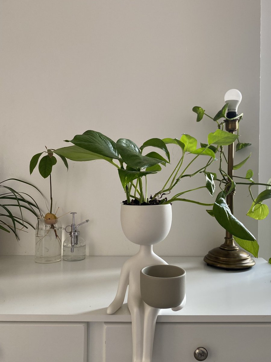 اعتقد اني اشتريت اجمل شيء بالدنيا