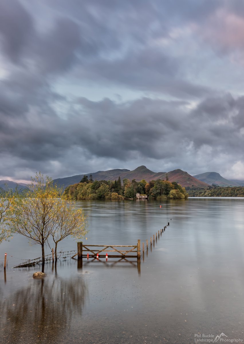 Phil Buckle tweet media