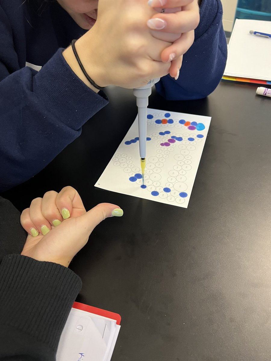 BrainyBio_Bunch's tweet photo. @WarhillHigh @PLTWorg Ss used @edvotek pipe yet by number kits to perfect their #micropipetting skills. https://t.co/a4MoJ29PZd