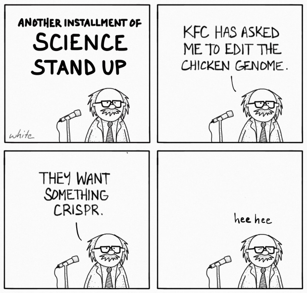 rapidnovor's tweet photo. Good morning and happy Monday! Who’s looking forward to World CRISPR Day this Thursday? Here’s a little science chuckle to get us ready! #scihumour #sciencestandup #CRISPR #geneediting
(Source: @whiteoutscomics) https://t.co/Bw8x0jGyCC