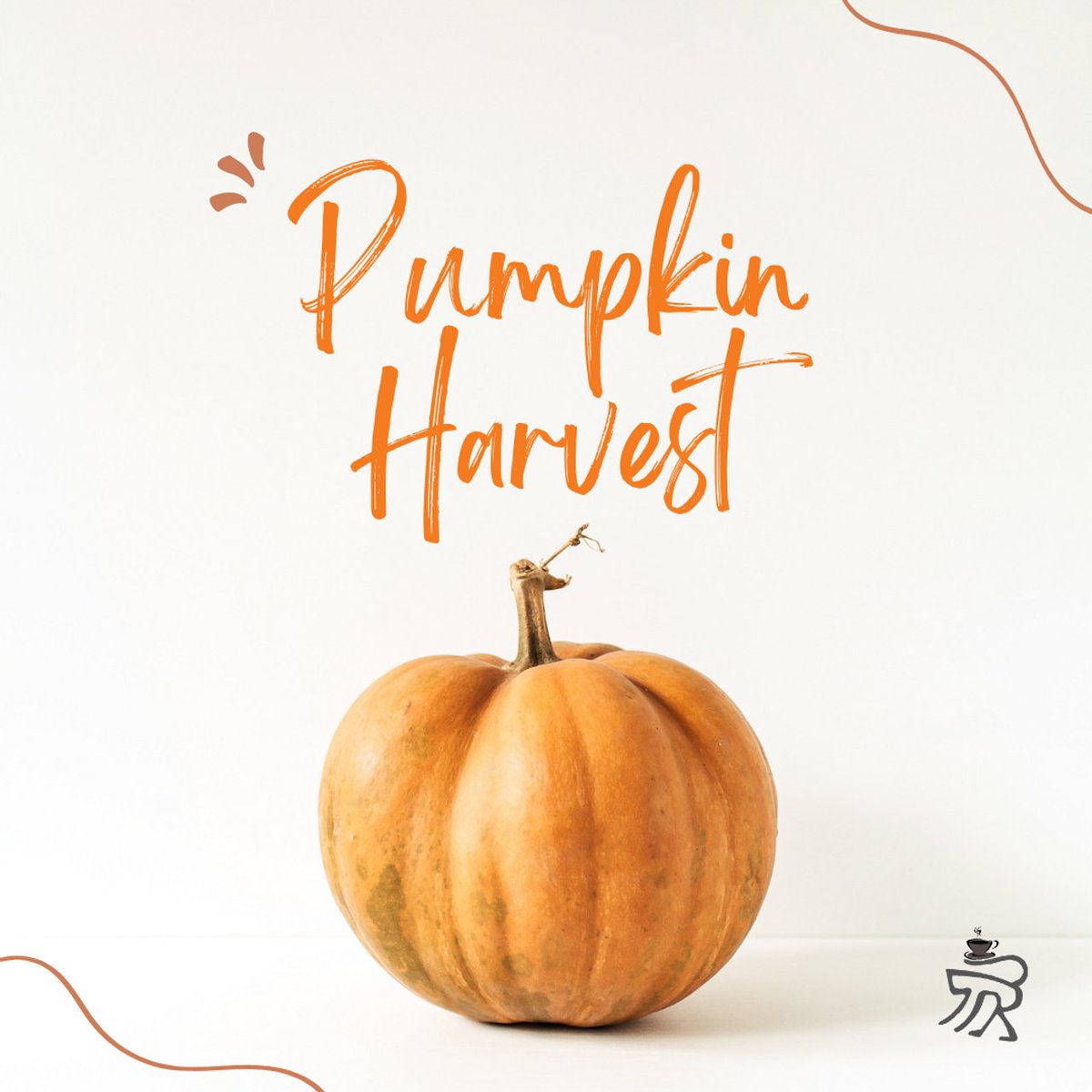 jumpymonk's tweet photo. Pumpkin Season is our favorite season! Shop our Pumpkin Harvest coffee here: https://t.co/Utz65677R9
#JumpyMonkey #CoffeeWithaCause #PumpkinHarvest https://t.co/S3nkElRShU