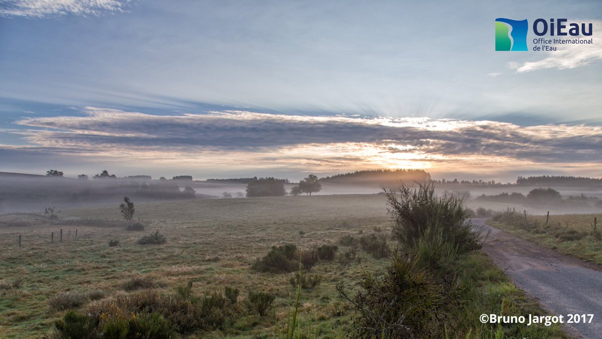 L’<a href="/OI_Eau/">Office International de l'Eau (OiEau)</a> et le Centre de Ressources #MilieuxHumides de l’<a href="/OFBiodiversite/">Office français de la biodiversité</a> organisent le 21 novembre 2022 de 14h à 17h une #webconférence sur les financements existants pour conduire une #GestionIntégrée des milieux humides ds les projets de #territoire bit.ly/3rZSCrN