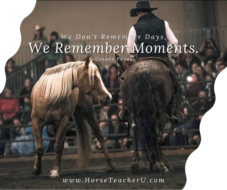 SteveRother's tweet photo. We don't remember days; we remember moments. ~Cesare Pavese

Make all your horse moments memorable in a good way...www.horseteacherU.com
#MotivationalMonday #Moments #HorseTeacherU #Yellowstone https://t.co/PvBvZZ1NZr