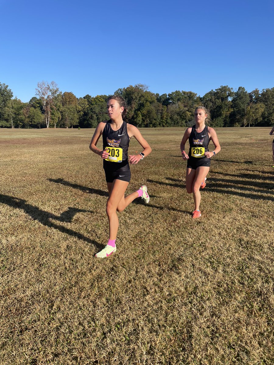 Tennessee Tech Cross Country / Track & Field tweet media