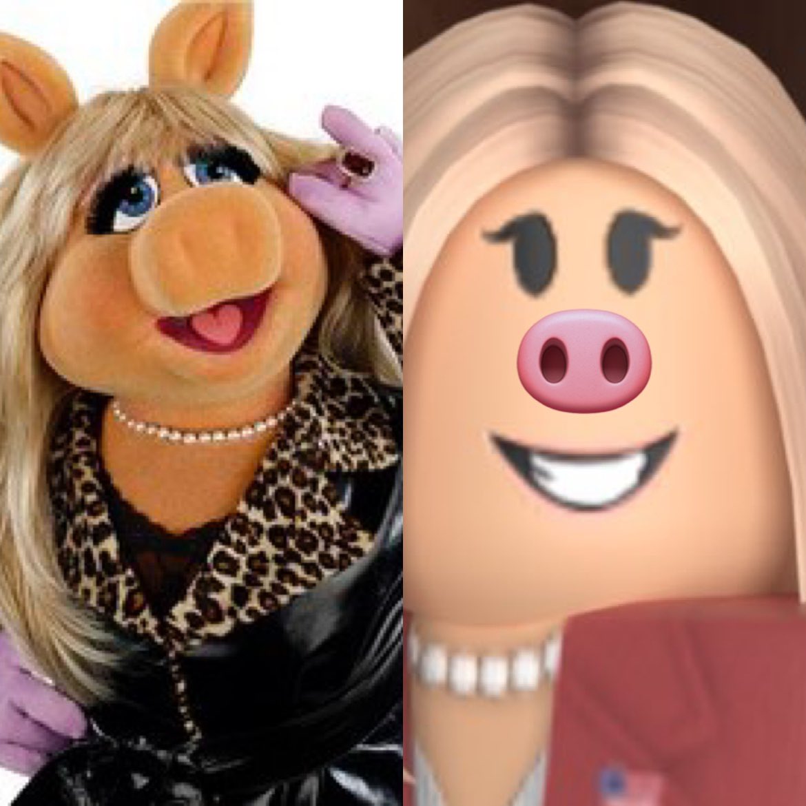 bingus_weasel's tweet photo. VOTE FOR THE WEASEL

i would be running a democrat but since the woke left and miss piggy control abby Lee “klarissa”miller they want to silence me and my voice 

the people of west vagina want change we want to defeat the poop monster so I’m running to do that https://t.co/AEVVEU9DPi