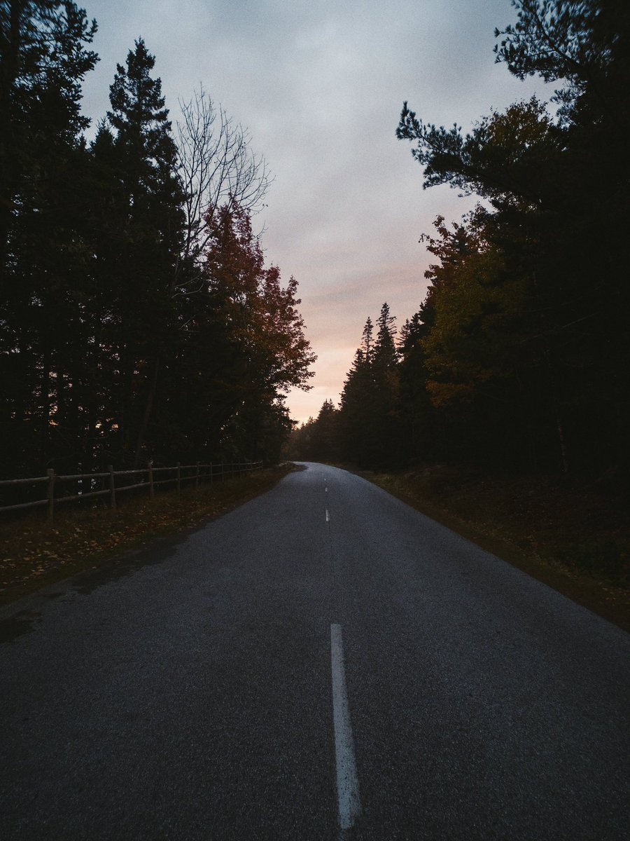 gavin spellman (@gav_spellman) on Twitter photo 