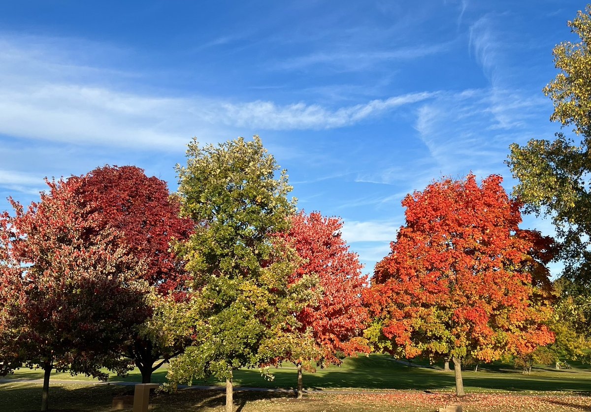 It’s Fall Y’all.