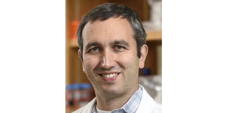 Eric Van Nostrand @bcmhouston speaks today at 11:00 am, Department of Genetics Research Exchange @MDAndersonNews about “Enabling Large-Scale Views of RNA Biology” bit.ly/3ybsfm6