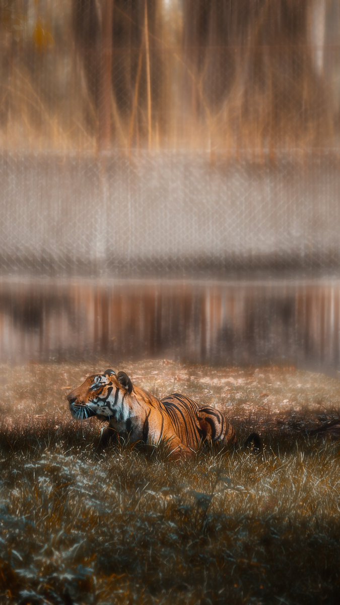 AmulyaVashistha's tweet photo. 💤💤 https://t.co/FbHDwt4rTY