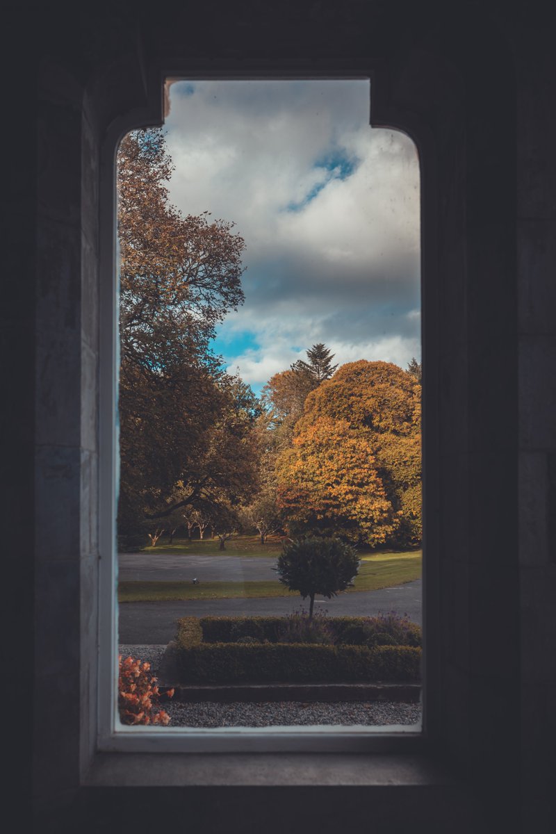 The wonderful colours of Autumn are setting in at Mount Falcon 🍂🍁🍂