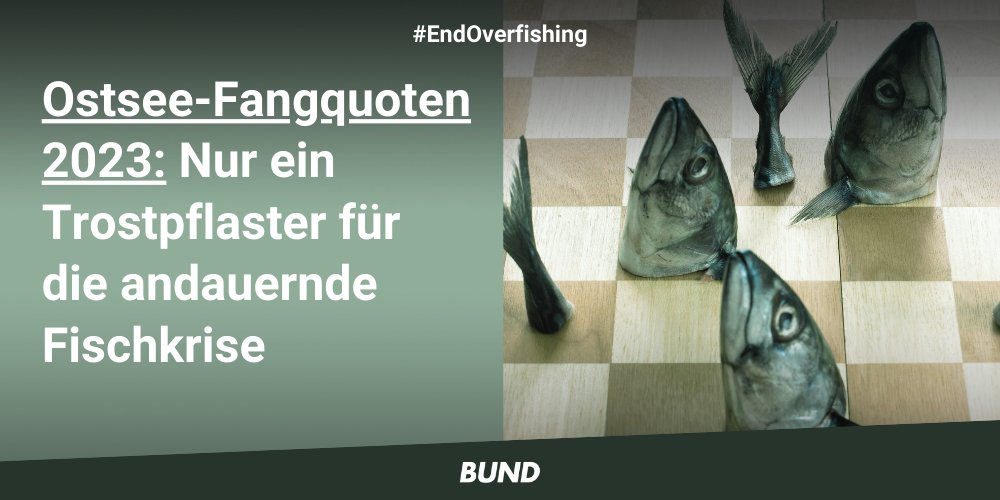 BUND on Twitter "Die neuen Ostseefangquoten fühlen sich an wie ein