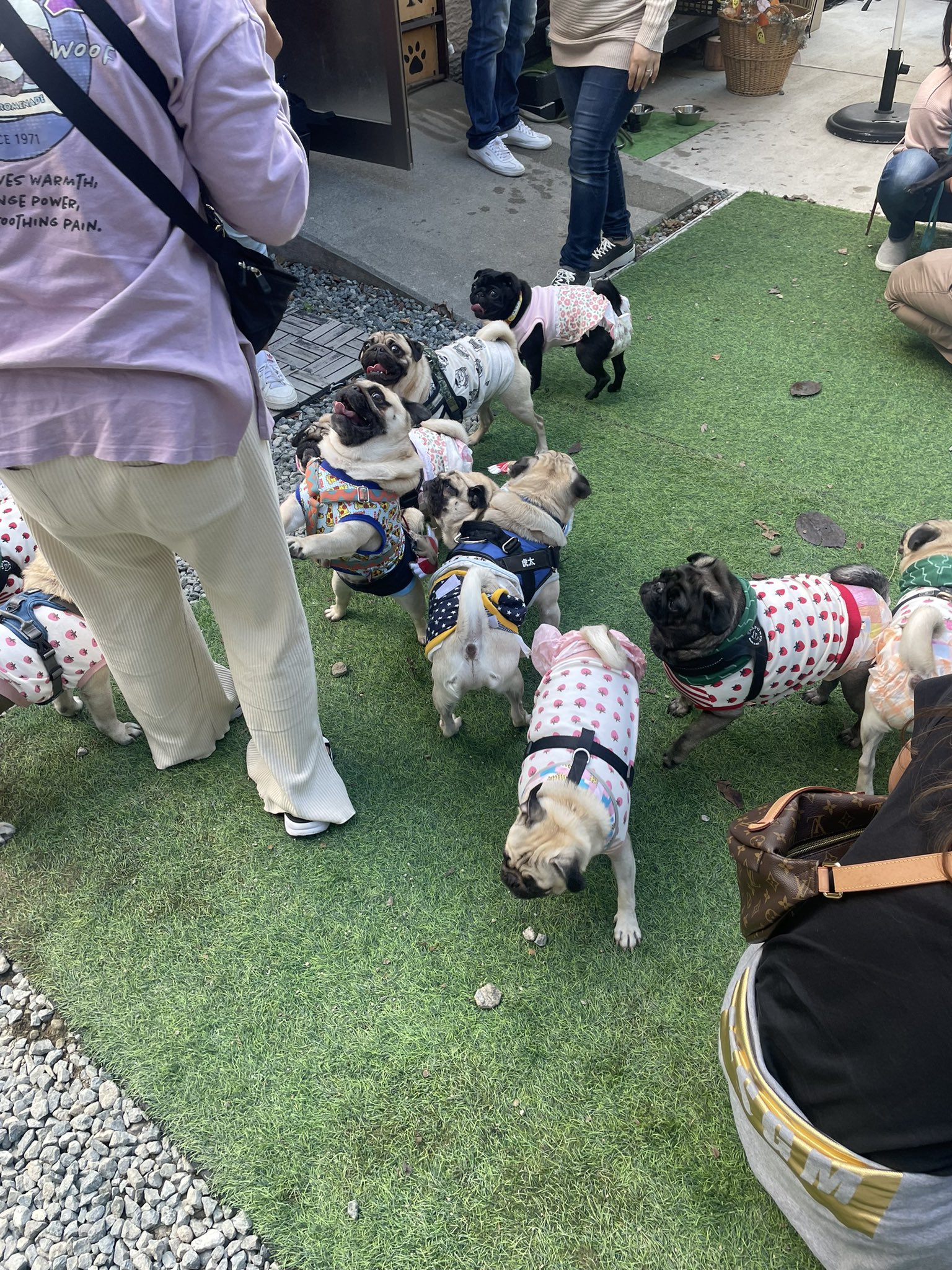 世界有名な K18イエローゴールド トランペットモチーフ ブローチ 2.5g