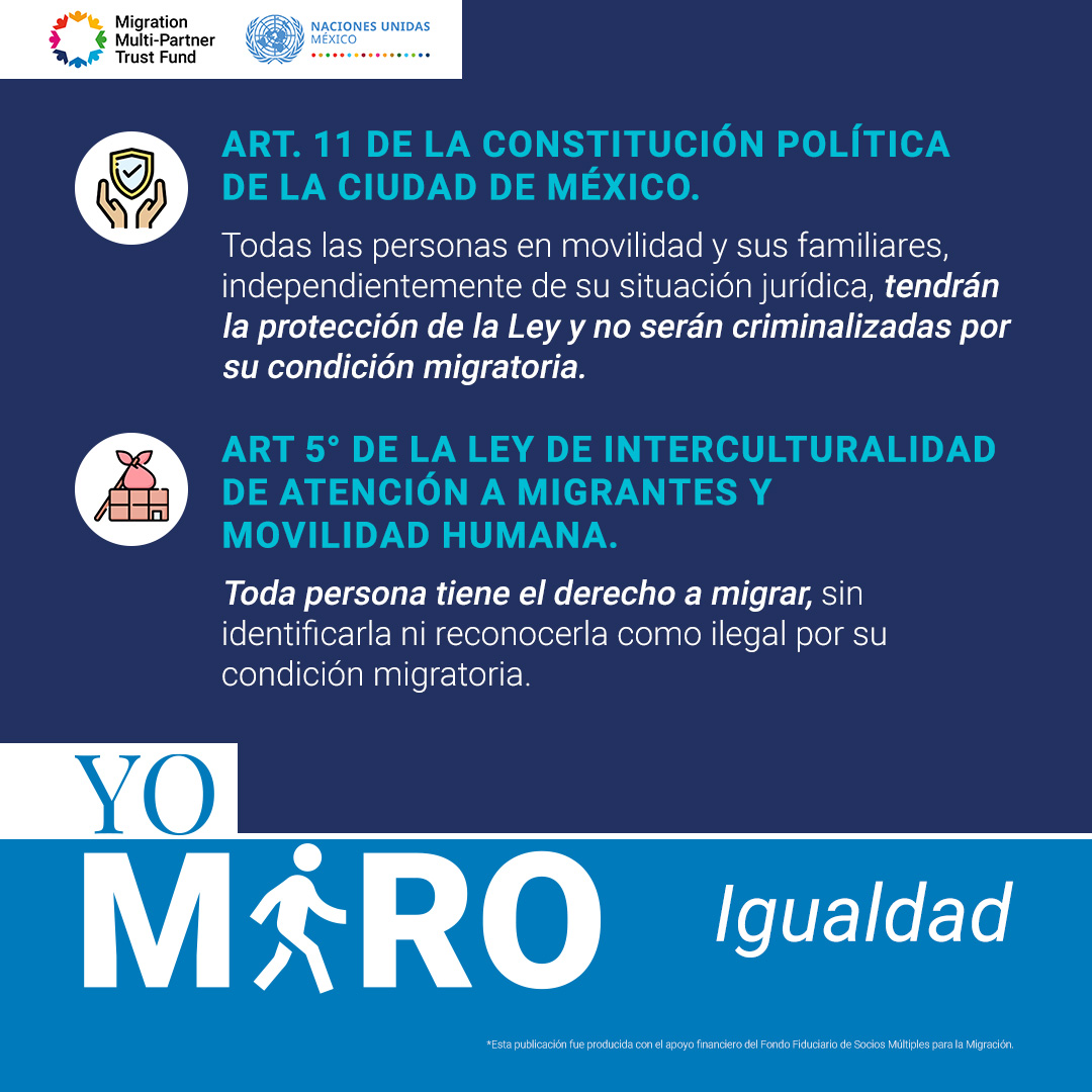 TrabajoCDMX's tweet photo. Cualquier persona, sin distinciones y sin importar su condición migratoria, debe de ser tratada con respeto, dignidad y tolerancia.💯
#YoMiRO Igualdad #MigrationFund

@OIM_Mexico @AcnurMexico @OITMexico @ONUMX @CINUmexico @CDMX_SIBISO @Claudiashein @GobCDMX @COPRED_CDMX https://t.co/uWLQ4HY6sk