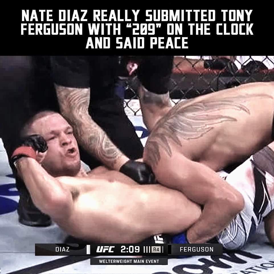 YousMMAshogun's tweet photo. #NateDiaz Cool Fact! #209 https://t.co/fiQG2UzKrU