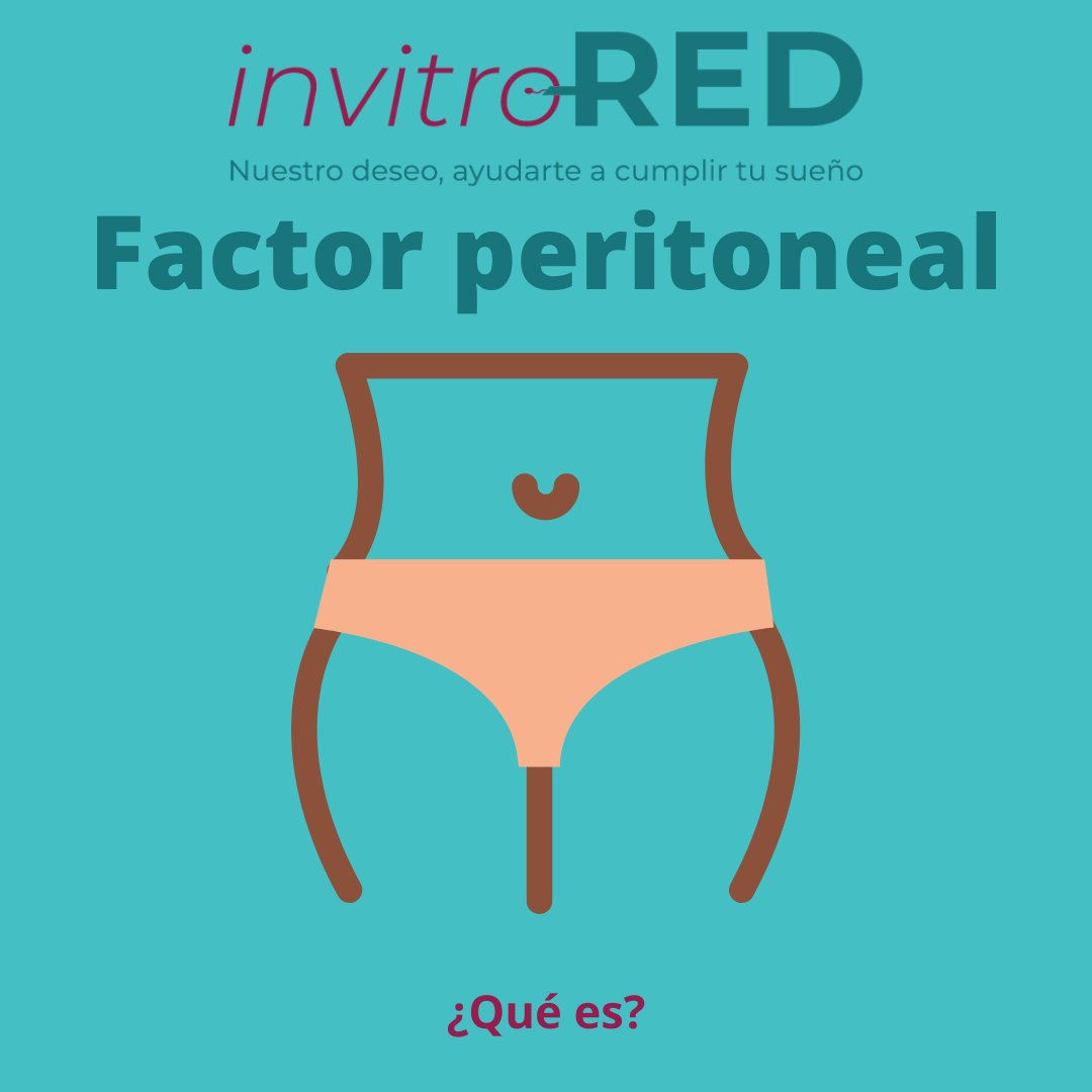 InvitroREDes's tweet photo. El #utero y los #ovarios, se encuentran dentro del #peritoneo, y pueden presentar alteraciones que afecten a la #fertilidad
Quieres saber más sobre el #factorperitoneal
#invitroRED #infertilpandy #fertilidad #fiv #icsi #ivf #adenomiosis #quierosermama #busquedadeembarazo #invitro https://t.co/3KOmtbyTQV