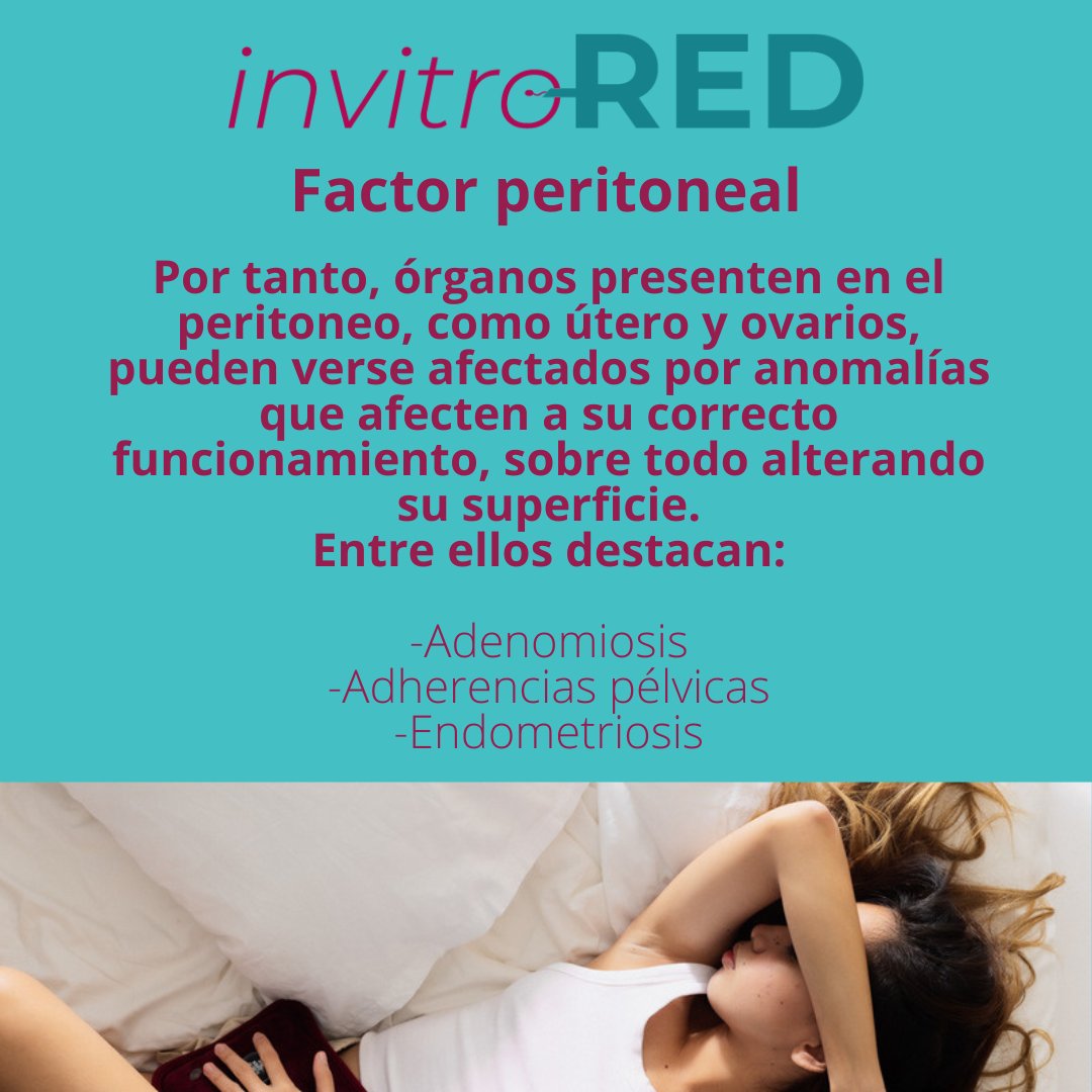 InvitroREDes's tweet photo. El #utero y los #ovarios, se encuentran dentro del #peritoneo, y pueden presentar alteraciones que afecten a la #fertilidad
Quieres saber más sobre el #factorperitoneal
#invitroRED #infertilpandy #fertilidad #fiv #icsi #ivf #adenomiosis #quierosermama #busquedadeembarazo #invitro https://t.co/3KOmtbyTQV